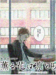 樱色约定封面