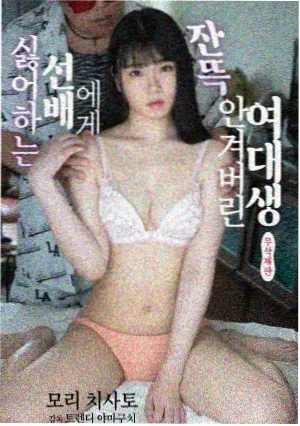 紫夜迷途封面