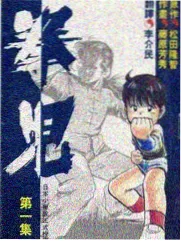 赤瞳追忆封面